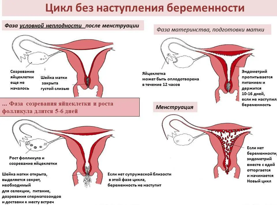 seks-vo-vremya-mesyachnyih