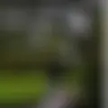 Я Майкл, 29, из Балашихи, ищу знакомство для вирта