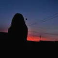 Аля из Владимира, ищу на сайте общение