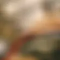 Илья из Ижевска, мне 20, познакомлюсь для вирта
