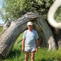 Я Юрий, 69, знакомлюсь для приятного времяпровождения в Павловске