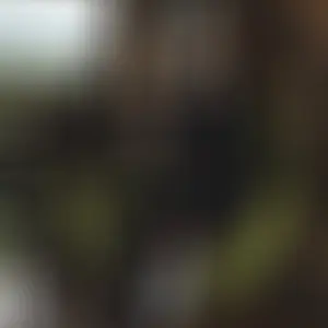 Я Тая, 21, знакомлюсь для на одну ночь в Киеве