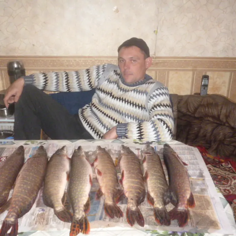 Я Алексей, 42, из Кирсанова, ищу знакомство для секса на одну ночь